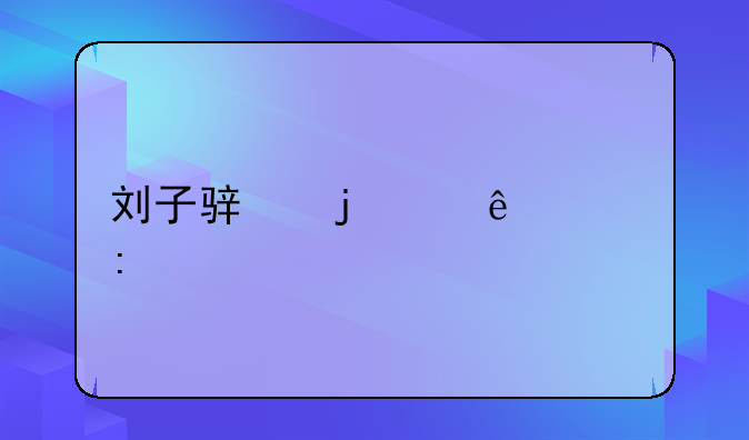 劉子駿的個(gè)人履歷