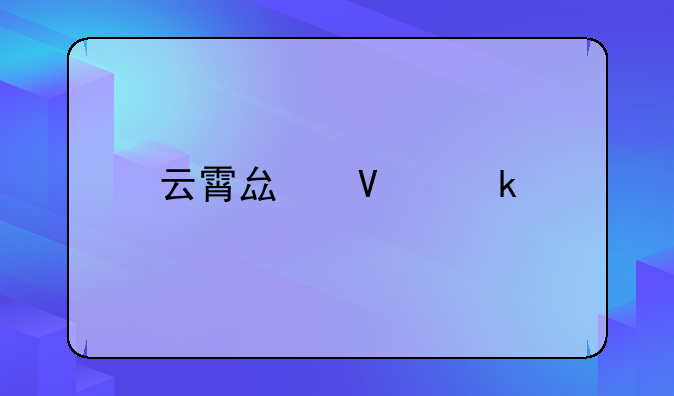 云霄縣商業(yè)特需公司怎么樣？