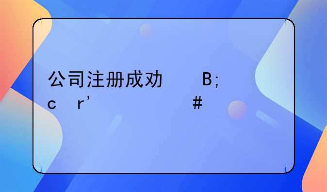 公司注冊成功后還有什么流程
