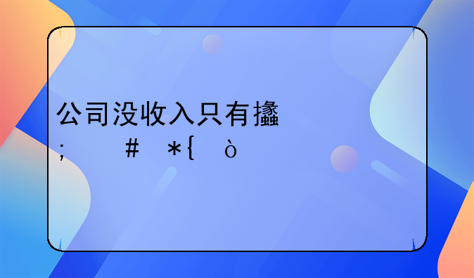 公司沒(méi)收入只有支出怎么辦？