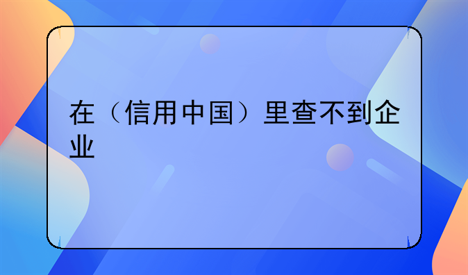在（信用中國）里查不到企業(yè)