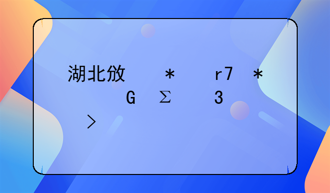 湖北政務(wù)服務(wù)網(wǎng)注冊(cè)公司流程