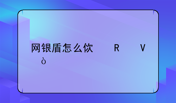 網(wǎng)銀盾怎么使用??？
