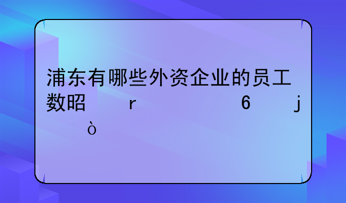 浦東有哪些外資企業(yè)的員工數(shù)是在一千的？