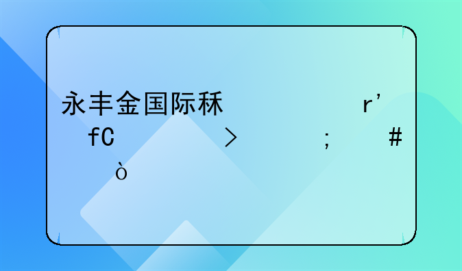 永豐金國際租賃有限公司怎么樣？