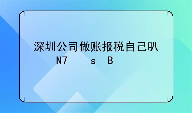 深圳公司做賬報稅自己可以操作嗎