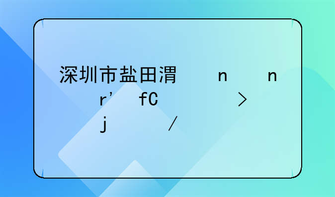 深圳市鹽田港集團(tuán)有限公司的介紹
