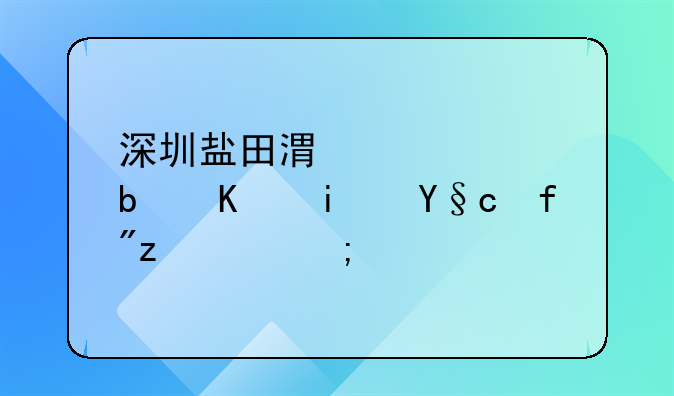 深圳鹽田港碼頭是不是李嘉誠的？