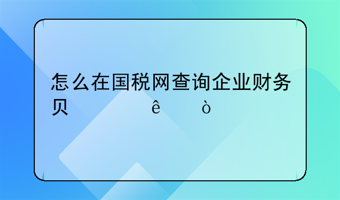 怎么在國(guó)稅網(wǎng)查詢企業(yè)財(cái)務(wù)負(fù)責(zé)人？