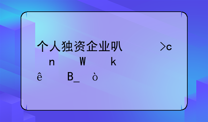 個(gè)人獨(dú)資企業(yè)可以變更法定代表人嗎？