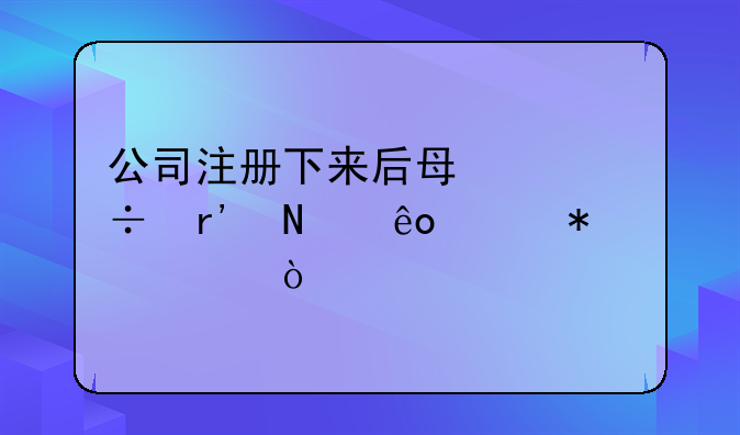 公司注冊下來后每年都有哪些維護費？