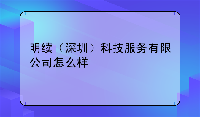 明續(xù)（深圳）科技服務有限公司怎么樣