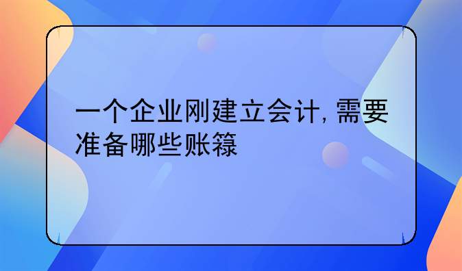 一個(gè)企業(yè)剛建立會(huì)計(jì),需要準(zhǔn)備哪些賬簿?
