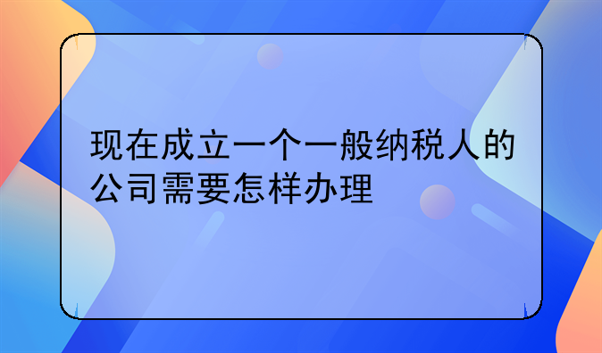 現(xiàn)在成立一個(gè)一般納稅人的公司需要怎樣辦理