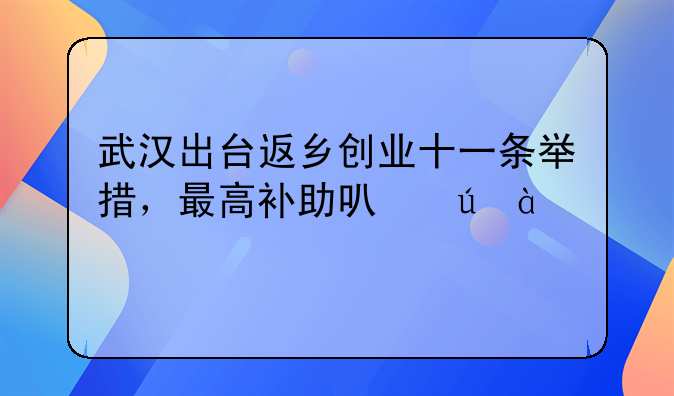 武漢出臺(tái)返鄉(xiāng)創(chuàng)業(yè)十一條舉措，最高補(bǔ)助可達(dá)800萬(wàn)元