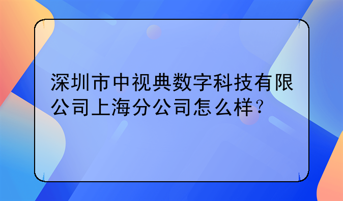 深圳市中視典數(shù)字科技有限公司上海分公司怎么樣？
