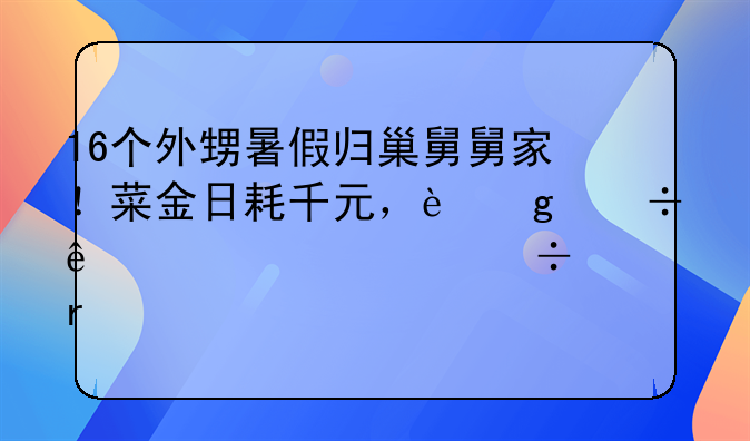 16個外甥暑假歸巢舅舅家！菜金日耗千元，這份親情幾家能有