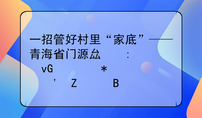 一招管好村里“家底”——青海省門源縣探索村級財務(wù)第三方代理記賬