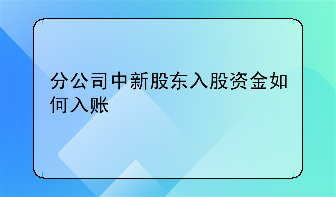 分公司中新股東入股資金如何入賬
